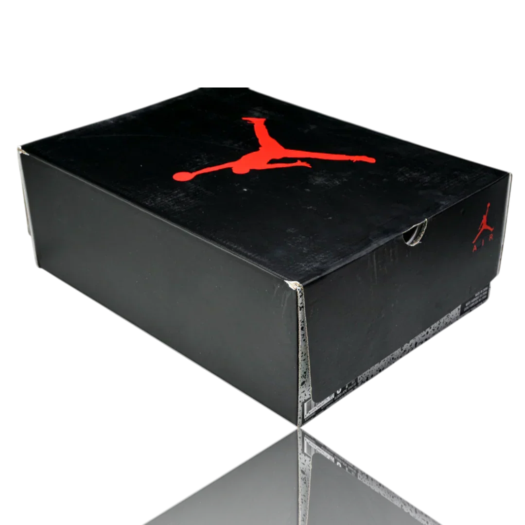 AJ6 Retro 'Black Infrared' (2019)